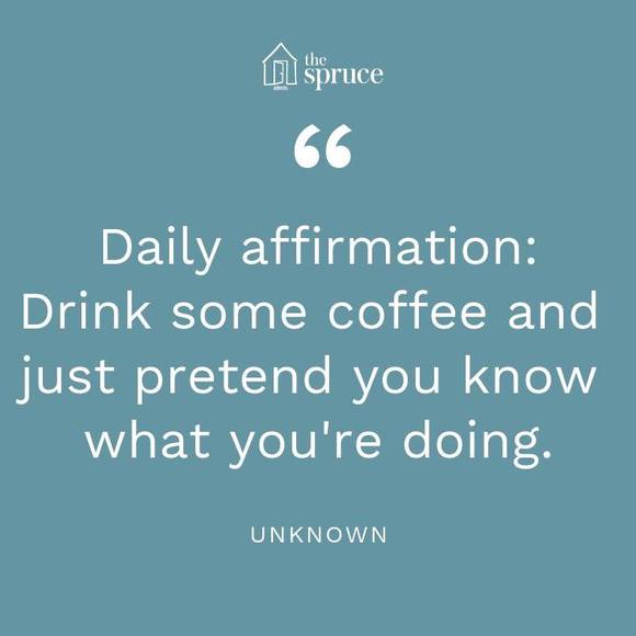 Meet your Posher, Amy - Picture 1 of 1